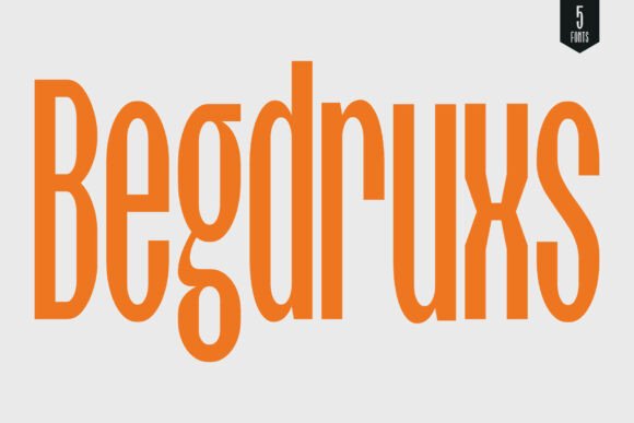 Begdruxs: The Modern Sans Serif for Clear Campaign Messaging