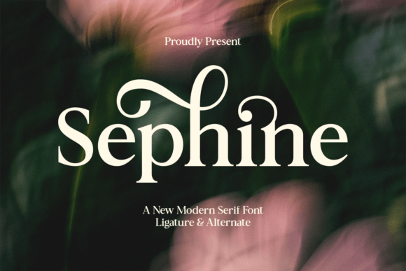 Choosing Sephine for a Modern Website Design