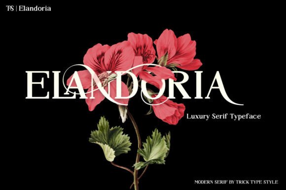 Elandoria: A Timeless Serif Font for Modern Campaigns