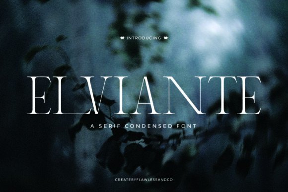 Elviante: A Refined Serif Font for Campaign Design
