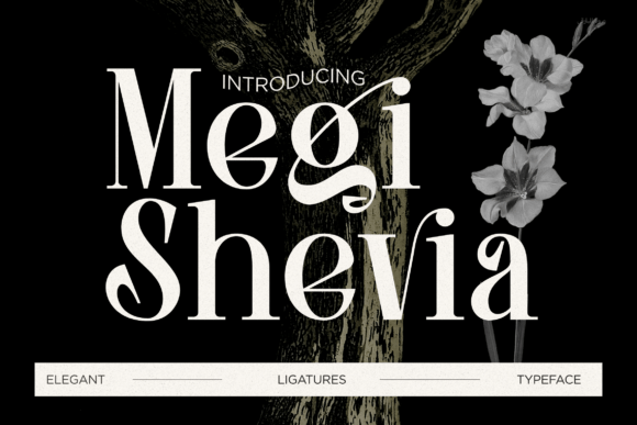 Megi Shevia Font for Modern Campaign Design