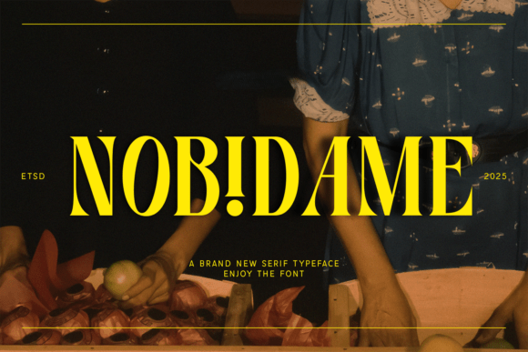 Nobidame Serif Font Review