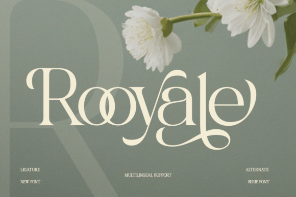 Rooyale Font for Luxury Branding and Modern Design